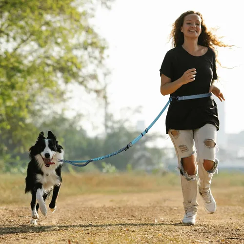 Vista 2 de Roses&Poetry - Correa para perros manos libres para perros medianos y grandes, resistente, sin tirón, correa elástica para correr y caminar