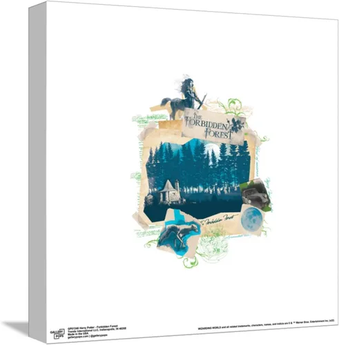 Vista 10 de Trends International Gallery Pops Harry Potter - Póster de pared de bosque prohibido, 12 x 12 pulgadas, versión enmarcada en negro Versión con marco
