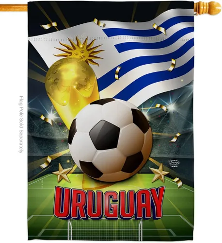 Vista 59 de Bandera del equipo de la Copa Mundial de la FIFA 2022 con bandera de Argentina para decoración del hogar al aire libre, arte de pared