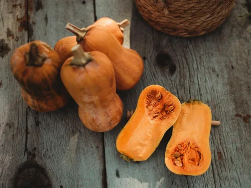 Vista 4 de Calabaza Honeynut - 25 semillas de calabaza Butternut Heirloom, Thresh Seed