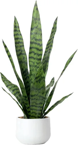 Vista 12 de Bird Fiy Planta artificial de serpiente de 22.5 pulgadas, agave artificial, Sansevieria, plantas artificiales en maceta para decoración