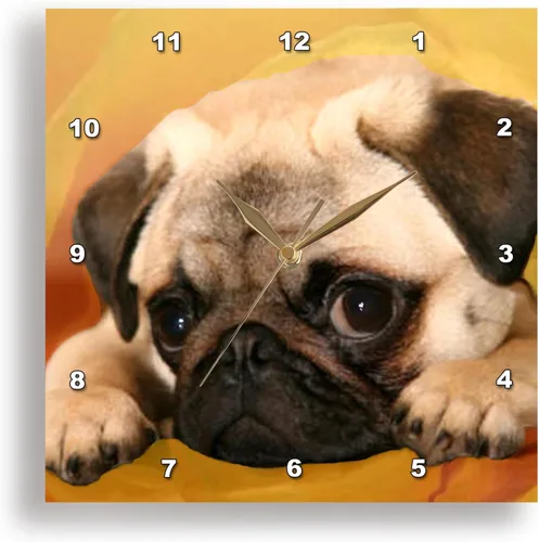 Vista 10 de 3drose Reloj de pared Pug, 10 x 10 pulgadas