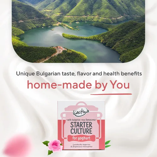 Vista 7 de Iniciador de yogur búlgaro Cultura de yogur probiótico natural Iniciador de cultivo de yogur casero 10 litros Lactobacillus bulgaricus (rosa)