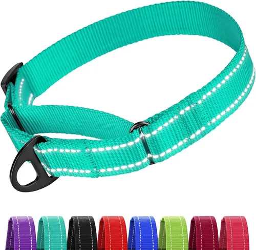Vista 18 de CollarDirect Martingale - Collar de nailon resistente para perros pequeños, medianos y grandes [nailon, estampado, aguamarina, L, 15-20 pulgadas)