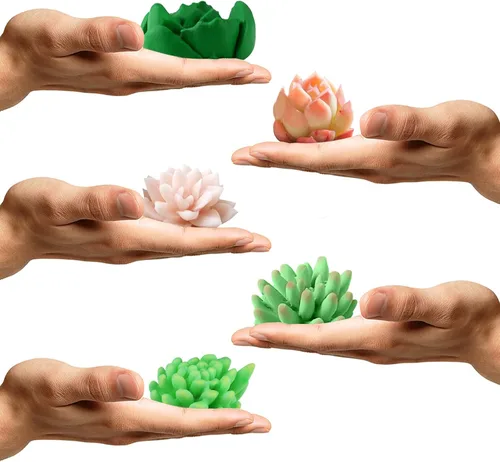 Vista 2 de Funshowcase Juego de moldes de silicona para cactus y plantas suculentas para resina epoxi, jabón, vela, cera, polímero, arcilla, yeso, fondant
