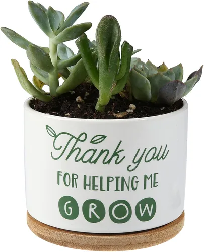 Vista 3 de DOMG Regalo de Apreciación para Maestros, Maceta de Cerámica para Suculentas Pequeña Maceta de Flores para Uso en Interior y Exterior, Gracias por