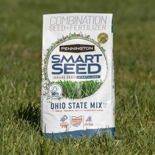 Vista 13 de Pennington Smart Seed - Semillas de césped del estado de Ohio para césped