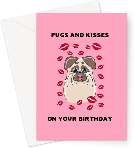 Vista 12 de Funny Animal Themed Birthday Cards Quirky Illustrated Animal Themed Birthday Cards For Friends and Family (Let's Get Slothed Birthday Card)