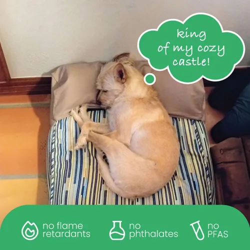 Vista 6 de Molly mutt - Cubierta de edredón para cama de perro, 100 % algodón, duradera, lavable, Petite