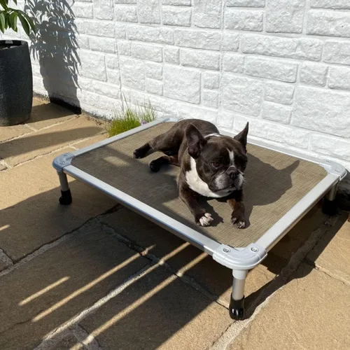 Vista 2 de Veehoo Cama elevada para perros a prueba de mordidas - Cuna elevada refrescante para mascotas - Marco de aluminio plateado y tela de malla