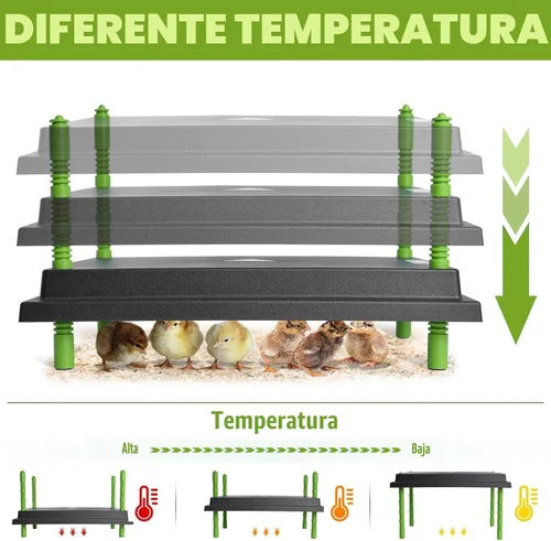 Vista 6 de Placa calefactora para pollitos, placa calefactora más cálida de 12 x 16 pulgadas para pollitos con altura ajustable, placa de calefacción