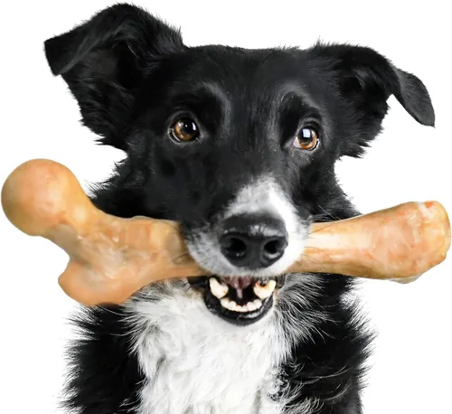 Vista 10 de Pet Qwerks Zombie BarkBone - Hueso de perro de nailon para masticadores moderados, sabor tocino, 4 pulgadas