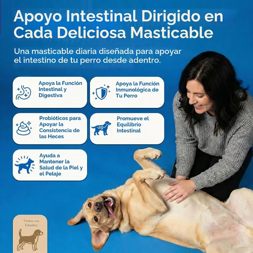 Vista 2 de Probióticos para perros para la salud intestinal, salud digestiva, estómago sensible, diarrea, inmunidad, piel/pelaje - probióticos prebióticos