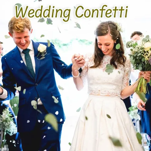 Vista 3 de Más de 1600 hojas de eucalipto reales preservadas pequeñas, eucalipto natural puro a granel, confeti de hojas de boda para aniversarios, cumpleaños