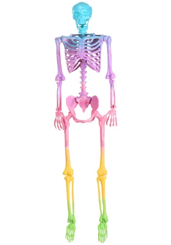 Vista 4 de Esqueleto Articulado Crazy Bones de 5FT en Decoración Arcoíris Multicolor
