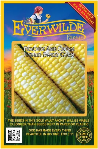 Vista 4 de Peaches & crema Hybrid Sweet semillas de maíz (tratada) – Gold Vault Bulk