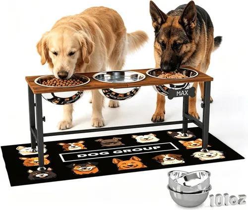 Vista 19 de ADENGL Cuenco elevado de metal para perros, soporte elevado para comedero de perros de 10" de alto con 2 cuencos de acero inoxidable de 42oz