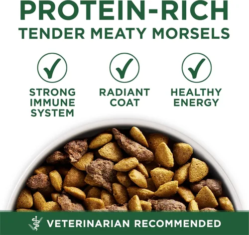 Vista 7 de Purina ONE Plus - Alimento seco para perros con fórmula de cordero y arroz de raza pequeña, bolsa de 3.8 libras