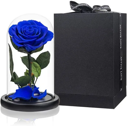 Vista 16 de Rosas preservadas, rosas negras en cúpula de cristal, medianas, flores preservadas para el día de la madre, regalos para mujeres Negro