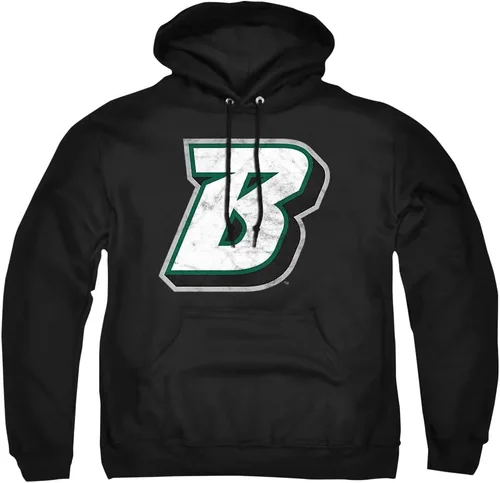 Vista 59 de Distressed College Primary Logo Adult Pullover Hoodie Collection 1 Universidad Estatal de Albany