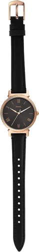 Vista 4 de Fossil Reloj Daisy de cuarzo para mujer de acero inoxidable informal