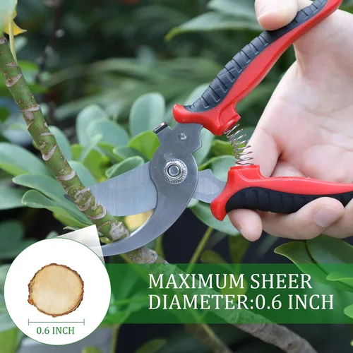 Vista 6 de 6 tijeras de podar de jardín resistentes a granel, tijeras de jardinería de acero inoxidable, tijeras de jardinería de mano, podadoras manuales