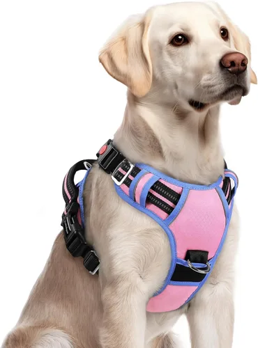 Vista 70 de Rabbitgoo - Arnés para perro de tamaño pequeño, sin tirones, 3 hebillas, fácil de poner y quitar Negro