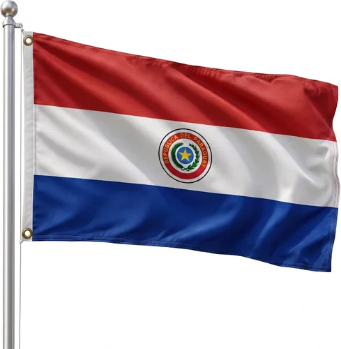 Vista 36 de DMSE - Bandera nacional beninesa beninesa de la República de África Occidental, 2 x 3 pies, 100 % poliéster, 100 % poliéster, resistente a los rayos