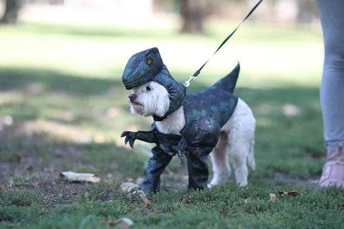 Vista 2 de California Costumes Disfraz de Pupasaurus Rex para perro XS
