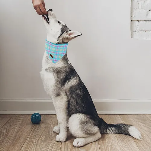 Vista 6 de MR. CHUBBYFACE Pañuelos azules con rayas para perros, reversibles, baberos triangulares, bufanda, accesorios para perros, gatos, mascotas
