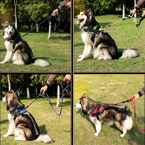 Vista 8 de Love Dream Correa para perro de 5 pies de largo con 2 cómodas asas acolchadas, hilos reflectantes con doble asa para control de seguridad, correa