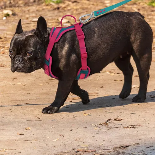 Vista 6 de Wolfone Arnés sin tirones para perro, ajustable, suave, acolchado, chaleco para mascotas, con asa de control, adorable arnés diario para perros