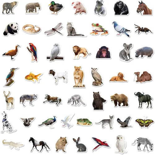Vista 2 de Juego de 50 calcomanías grandes con diseño de animales realistas, calcomanías de zoológico serie 3 para niños