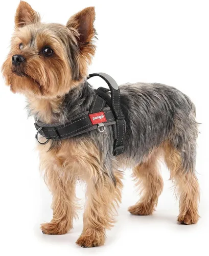 Vista 10 de Arnés para perro sin tirones con asa, chaleco reflectante ajustable para Corgi, arnés para mascotas acolchado con malla de aire transpirable