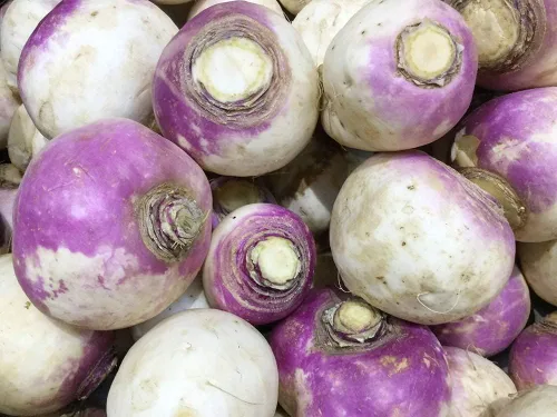 Vista 4 de Rutabaga (parte superior púrpura americana), más de 150 semillas de reliquia por paquete, semillas de jardín de Isla (semillas de jardín de Isla)