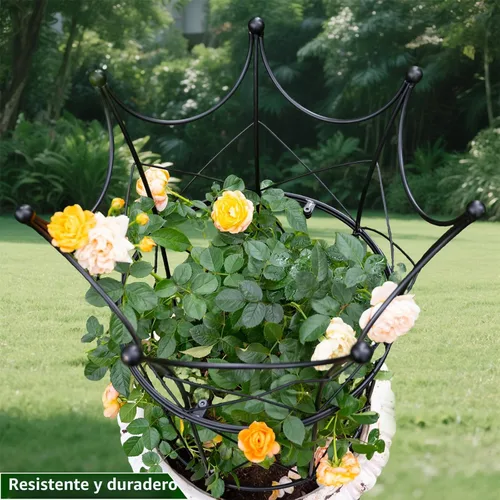 Vista 8 de Soportes de peonía para plantas de exterior, estacas de dalia de 18.5 x 22.9 pulgadas Negro