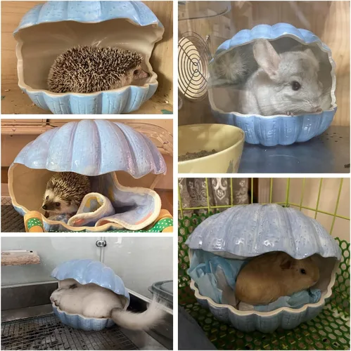 Vista 7 de Escondite de animales pequeños con forma de concha de cerámica extra grande, casa de conejillo de indias, chinchilla, iglú, hábitat, cabaña, jaula