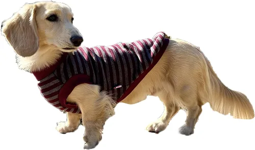 Vista 24 de D Doggy Star - Suéter de perro salchicha para perros, ropa de forro polar, abrigo de invierno (M, bolsillo azul marino)