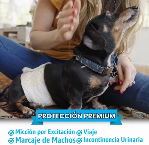 Vista 4 de Bodhi Dog Pañales desechables para perros machos, superabsorbentes, a prueba de fugas, ajuste ajustable, diseño cómodo, control avanzado de humedad