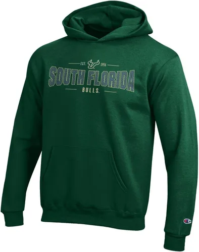 Vista 2 de Champion NCAA Ncaa Youth - Sudadera con capucha de forro polar de manga larga para niño Color del