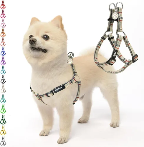 Vista 54 de Pupteck - Arnés para perros sin jalar, suave, ajustable, de nailon, talla básica, chaleco para cachorro, para caminar al aire libre con etiqueta