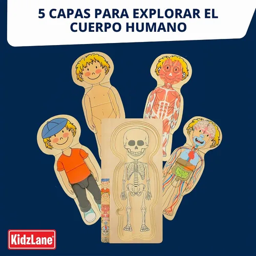 Vista 4 de Kidzlane Boy Wooden My Body Puzzle for Toddlers & Kids - 29 Piece Boys Anatomy Puzzle Kid Play Set - Anatomy for Kids, Skeleton Toys for Children