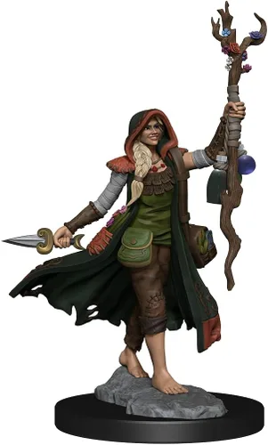 Vista 5 de WizKids D&D Frameworks: Mujer druida humana - Sin pintar y sin ensamblar