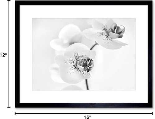 Vista 5 de FOTO NATURALEZA PLANTA ORQUIDEA FLOR NEGRO BLANCO MARCO IMPRESIÓN F12X4368