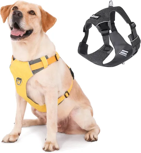 Vista 7 de LIOPARD Arnés para perro, arnés para mascotas fácil de caminar sin tirones, con 2 clips para correa, chaleco reflectante suave acolchado ajustable