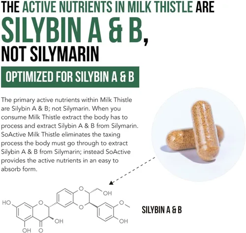 Vista 6 de SoActive® Milk Thistle: fitosoma de cardo mariano 10 veces más eficaz, optimizado para silybina bioactiva esencial A & B Plus Bilear® extracto