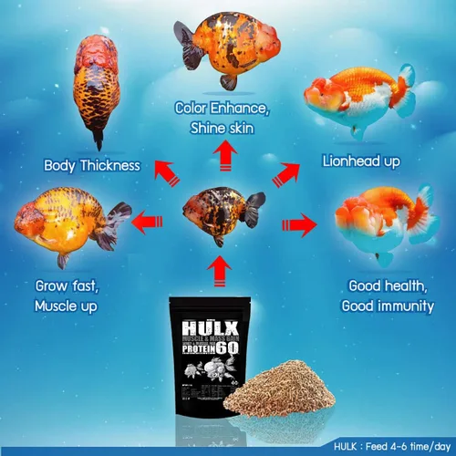 Vista 4 de HULX Goldfish - Pellets de hundimiento de alimentos para gran músculo y aumento de peso masivo, suero mezclado con alto contenido de proteínas, 60%