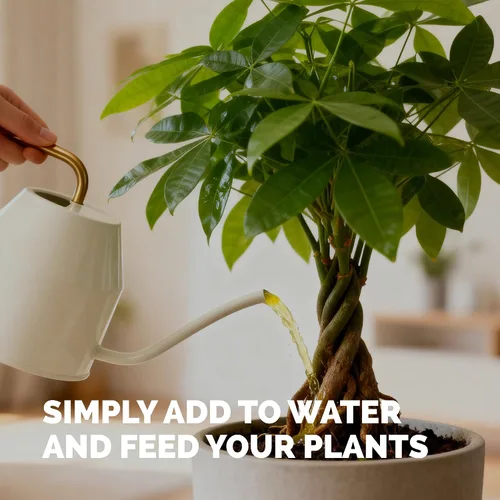 Vista 5 de Fertilizante para árbol del dinero para árboles del dinero y todas las plantas de Pachira, alimento líquido para plantas 8 oz (250mL)