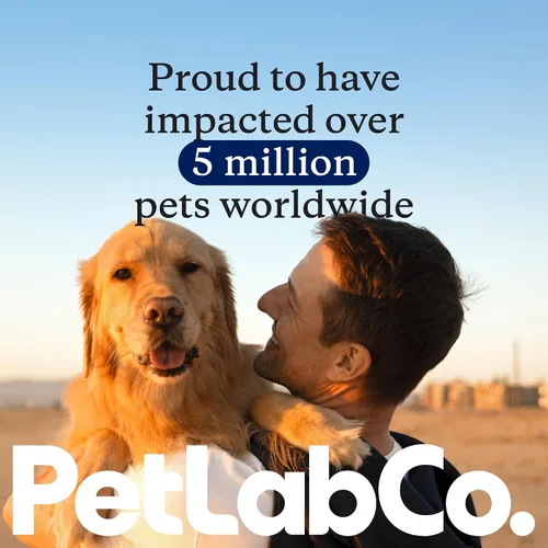Vista 7 de PetLab Co. Skin & Coat Mousse para perros, humectante sin enjuague, 7 onzas líquidas