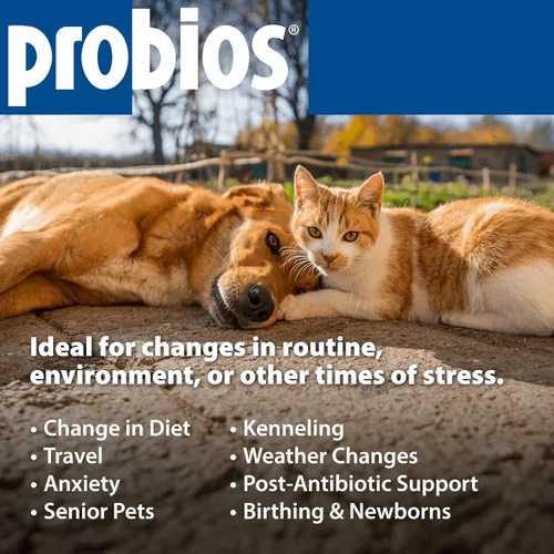 Vista 6 de Probios Apoyo Digestivo Probiótico para Todas las Especies, Probióticos para la Salud Intestinal, Polvo Dispersable, 240 g